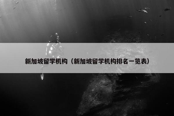 新加坡留学机构（新加坡留学机构排名一览表）