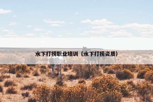 水下打捞职业培训（水下打捞资质）