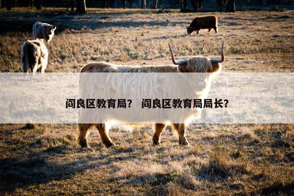 阎良区教育局？ 阎良区教育局局长？