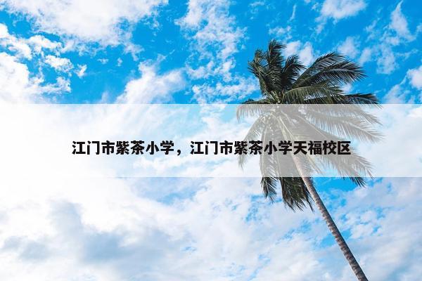 江门市紫茶小学，江门市紫茶小学天福校区