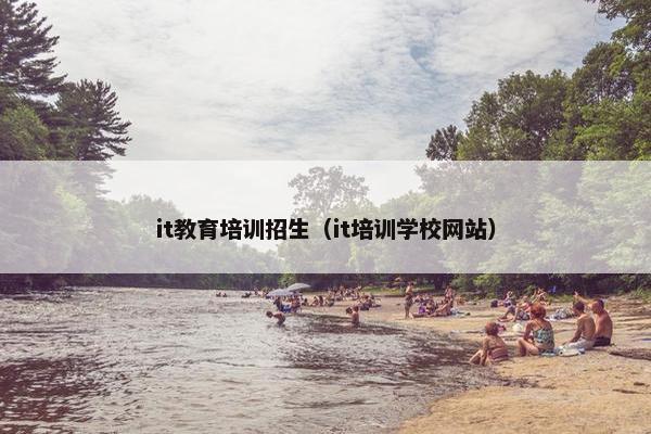 it教育培训招生（it培训学校网站）