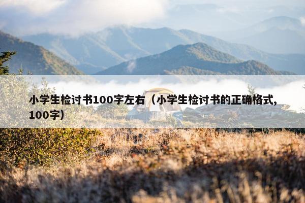 小学生检讨书100字左右（小学生检讨书的正确格式,100字）