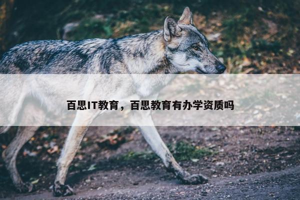 百思IT教育，百思教育有办学资质吗