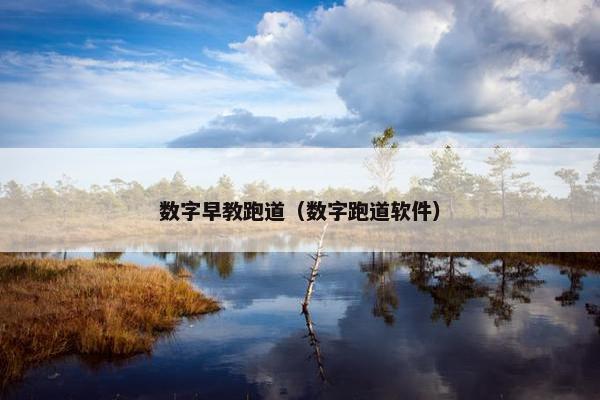 数字早教跑道（数字跑道软件）