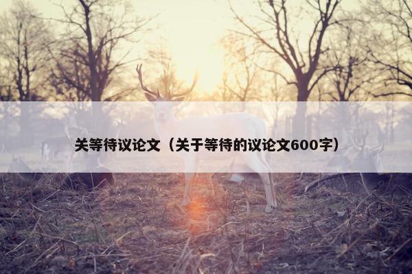 关等待议论文（关于等待的议论文600字）