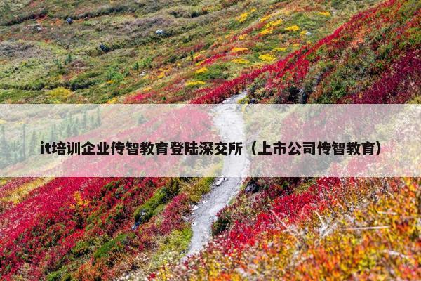 it培训企业传智教育登陆深交所（上市公司传智教育）