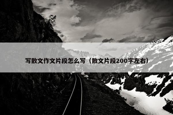 写散文作文片段怎么写（散文片段200字左右）