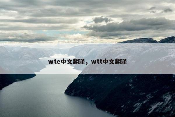 wte中文翻译，wtt中文翻译