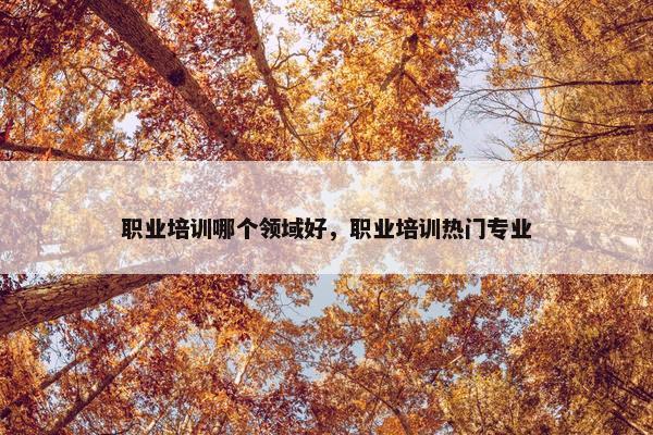 职业培训哪个领域好，职业培训热门专业