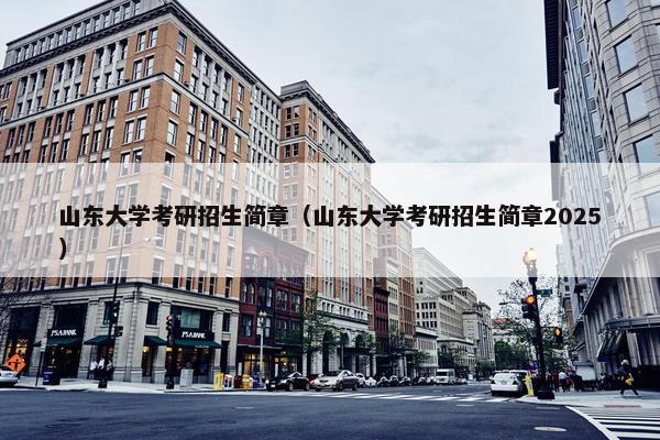 山东大学考研招生简章（山东大学考研招生简章2025）