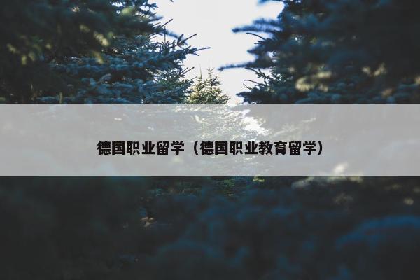 德国职业留学（德国职业教育留学）