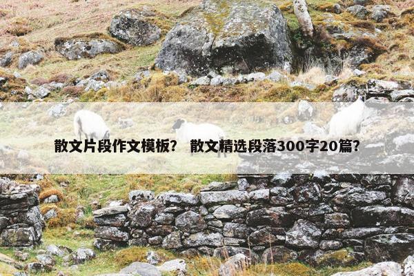 散文片段作文模板？ 散文精选段落300字20篇？