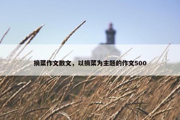 摘菜作文散文，以摘菜为主题的作文500