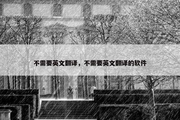 不需要英文翻译，不需要英文翻译的软件