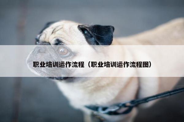 职业培训运作流程（职业培训运作流程图）