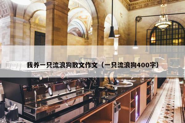 我养一只流浪狗散文作文（一只流浪狗400字）