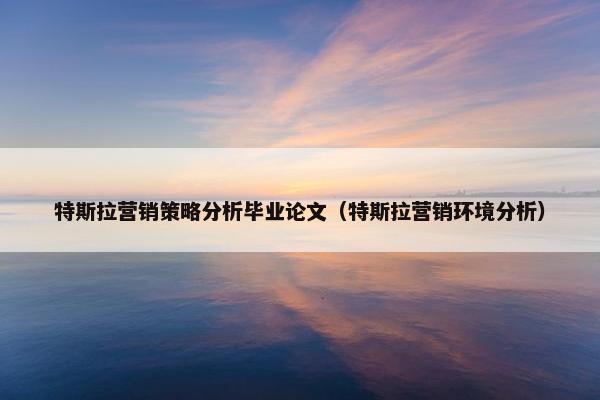 特斯拉营销策略分析毕业论文（特斯拉营销环境分析）