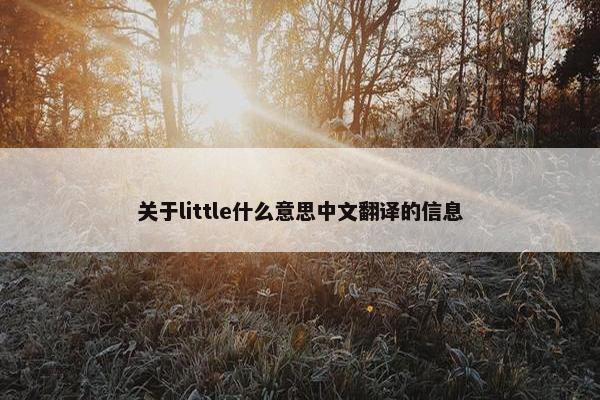 关于little什么意思中文翻译的信息