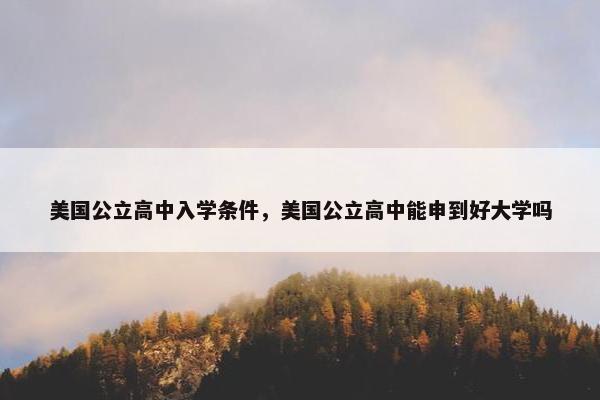美国公立高中入学条件，美国公立高中能申到好大学吗
