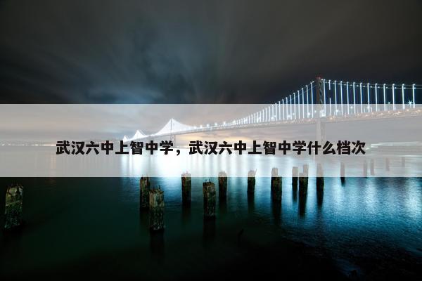 武汉六中上智中学，武汉六中上智中学什么档次