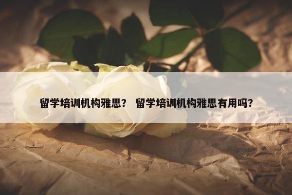 留学培训机构雅思？ 留学培训机构雅思有用吗？