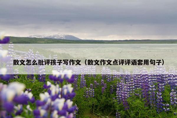 散文怎么批评孩子写作文（散文作文点评评语套用句子）
