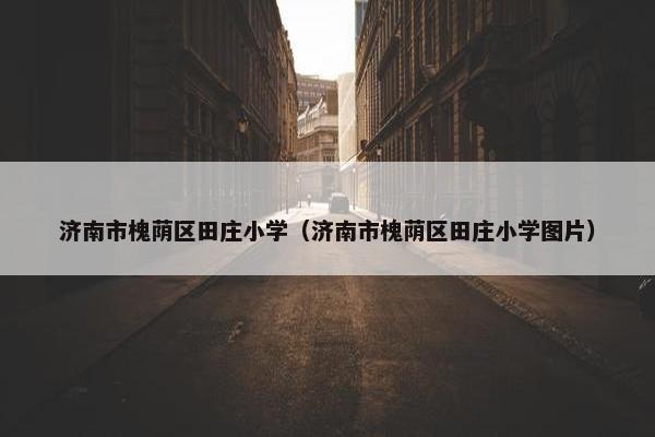 济南市槐荫区田庄小学（济南市槐荫区田庄小学图片）