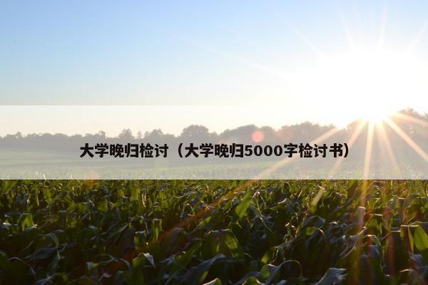 大学晚归检讨（大学晚归5000字检讨书）