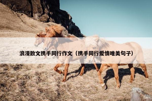 浪漫散文携手同行作文（携手同行爱情唯美句子）