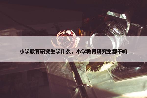 小学教育研究生学什么，小学教育研究生都干嘛