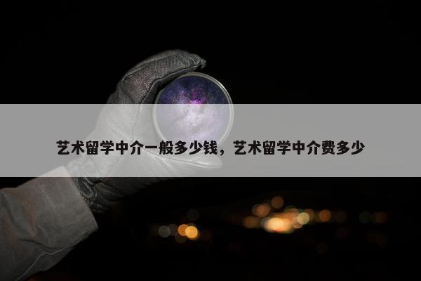 艺术留学中介一般多少钱，艺术留学中介费多少