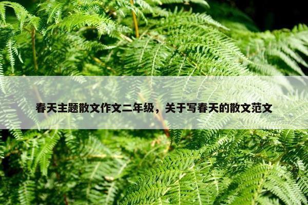春天主题散文作文二年级，关于写春天的散文范文