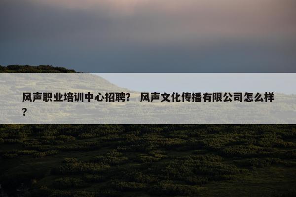 风声职业培训中心招聘？ 风声文化传播有限公司怎么样？
