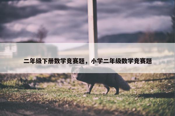 二年级下册数学竞赛题，小学二年级数学竞赛题