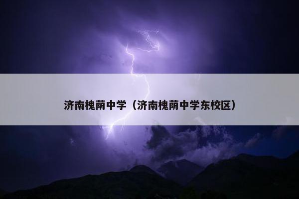 济南槐荫中学（济南槐荫中学东校区）