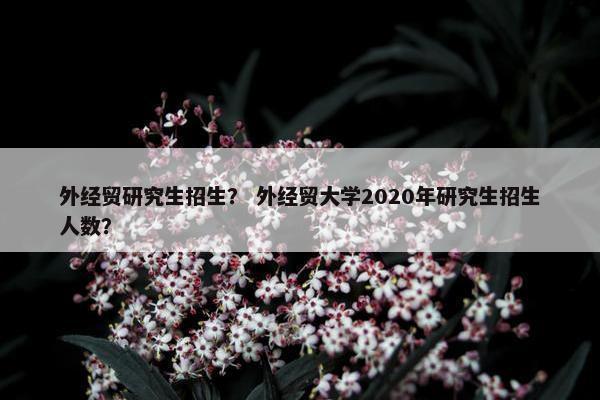 外经贸研究生招生？ 外经贸大学2020年研究生招生人数？