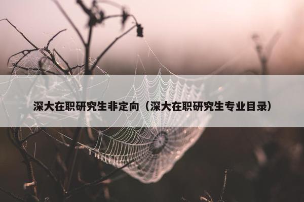 深大在职研究生非定向（深大在职研究生专业目录）
