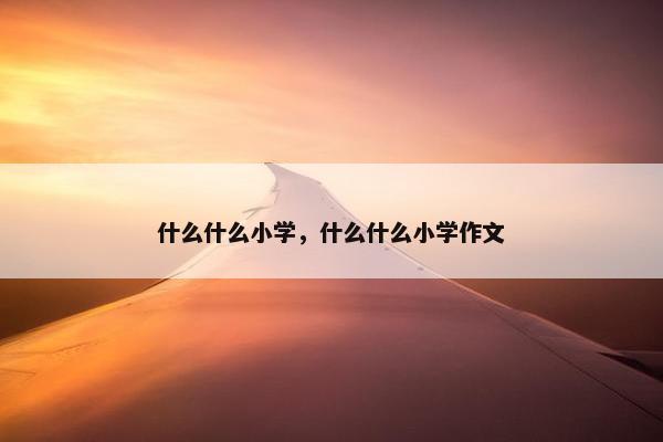 什么什么小学，什么什么小学作文