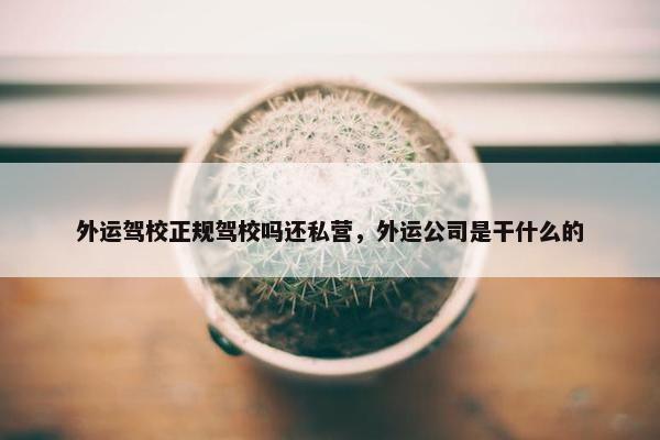 外运驾校正规驾校吗还私营，外运公司是干什么的