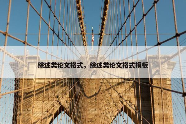 综述类论文格式，综述类论文格式模板