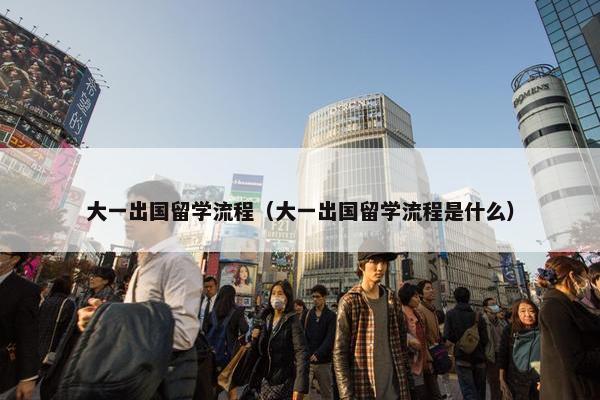 大一出国留学流程（大一出国留学流程是什么）
