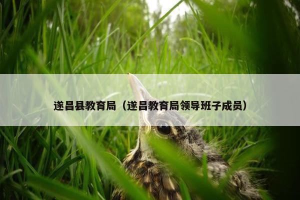 遂昌县教育局（遂昌教育局领导班子成员）