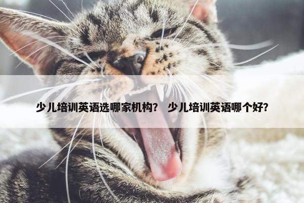 少儿培训英语选哪家机构？ 少儿培训英语哪个好？