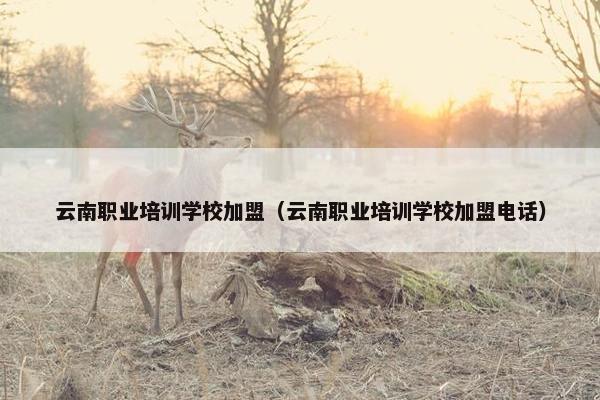 云南职业培训学校加盟（云南职业培训学校加盟电话）