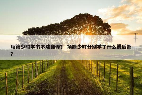 项籍少时学书不成翻译？ 项籍少时分别学了什么最后都？