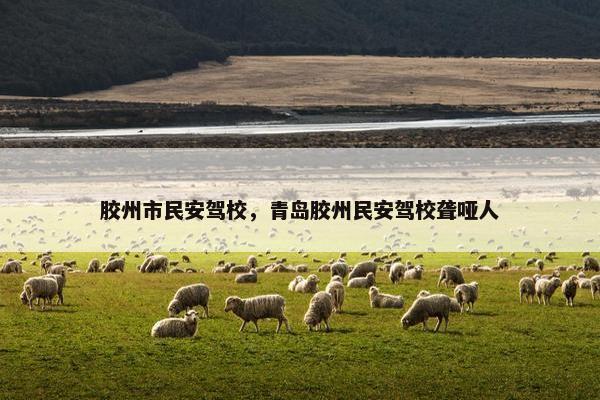胶州市民安驾校，青岛胶州民安驾校聋哑人