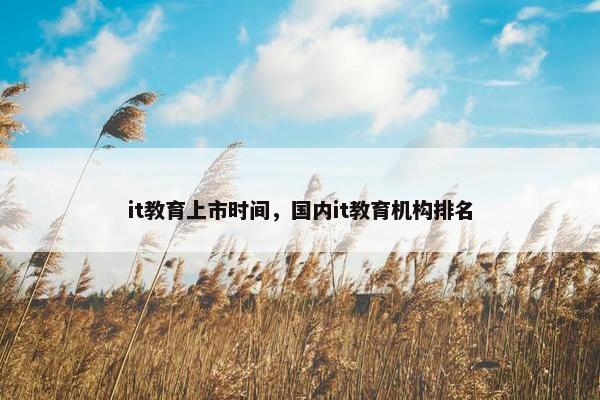 it教育上市时间，国内it教育机构排名