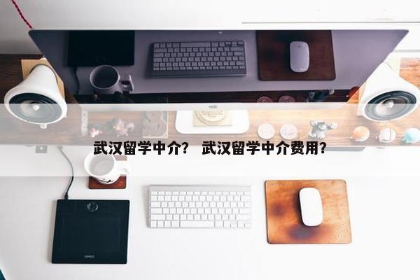 武汉留学中介？ 武汉留学中介费用？