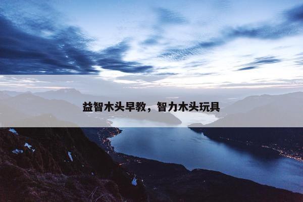 益智木头早教，智力木头玩具