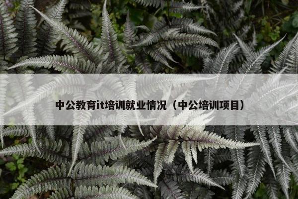 中公教育it培训就业情况（中公培训项目）